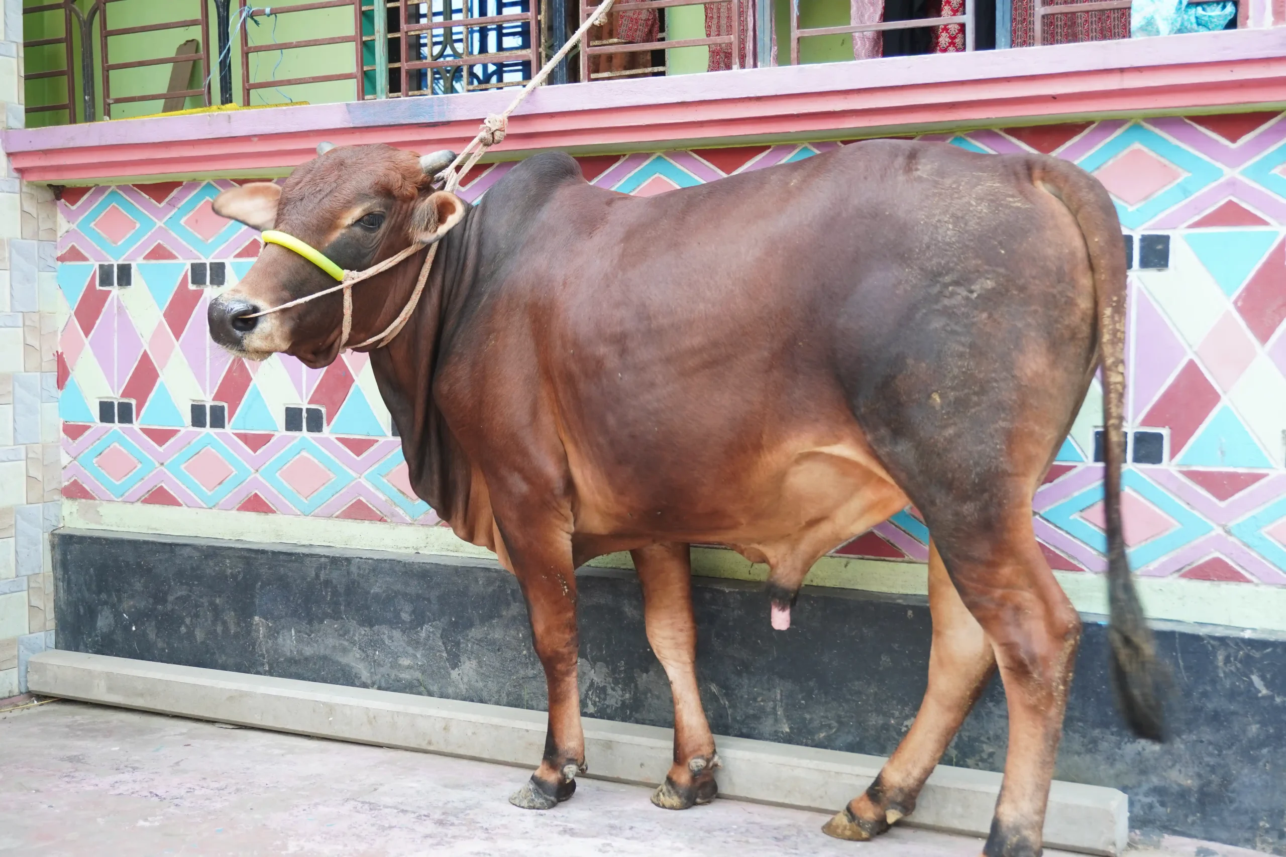 সুলতান